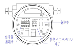 熱式氣體質(zhì)量流量計(圖9)