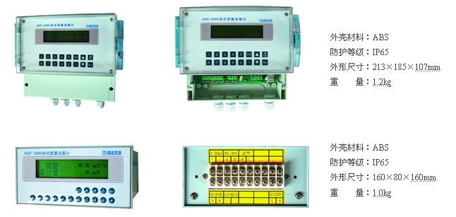 熱式氣體質(zhì)量流量計(圖11)