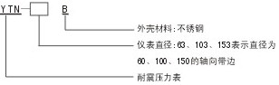 耐震壓力表(圖2)